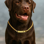 Personalized Pet Name and Birthstone Necklace - Glaxias