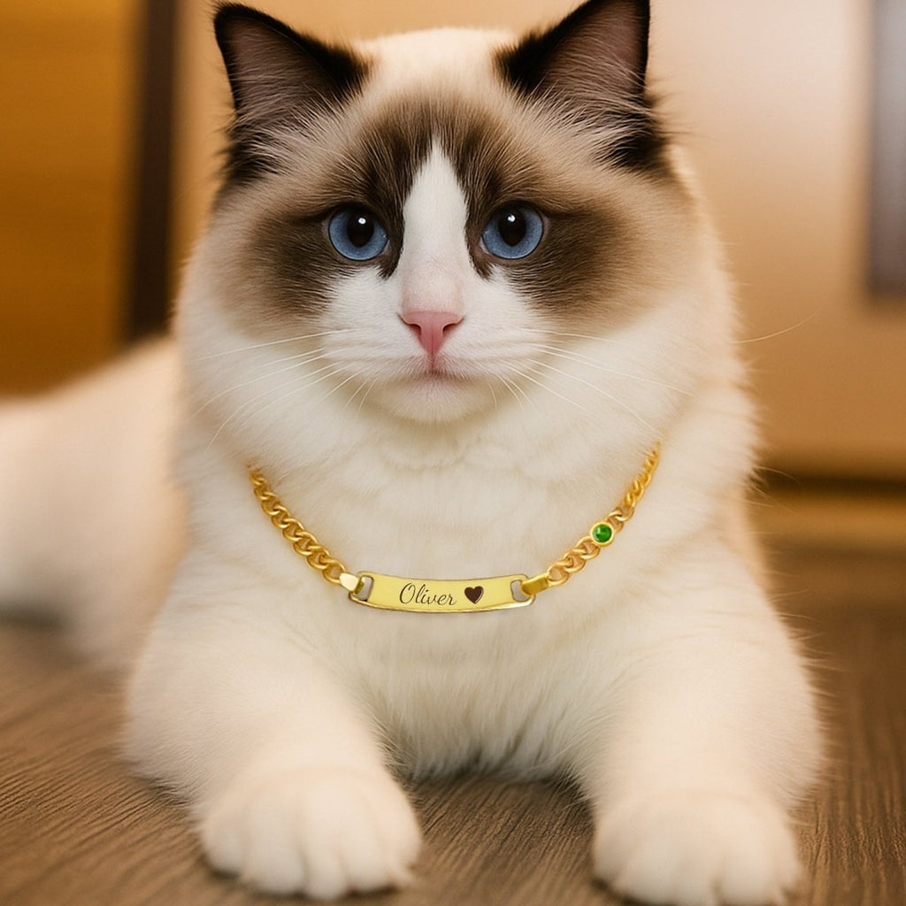 Personalized Pet Name and Birthstone Necklace - Glaxias
