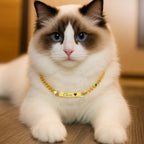 Personalized Pet Name and Birthstone Necklace - Glaxias