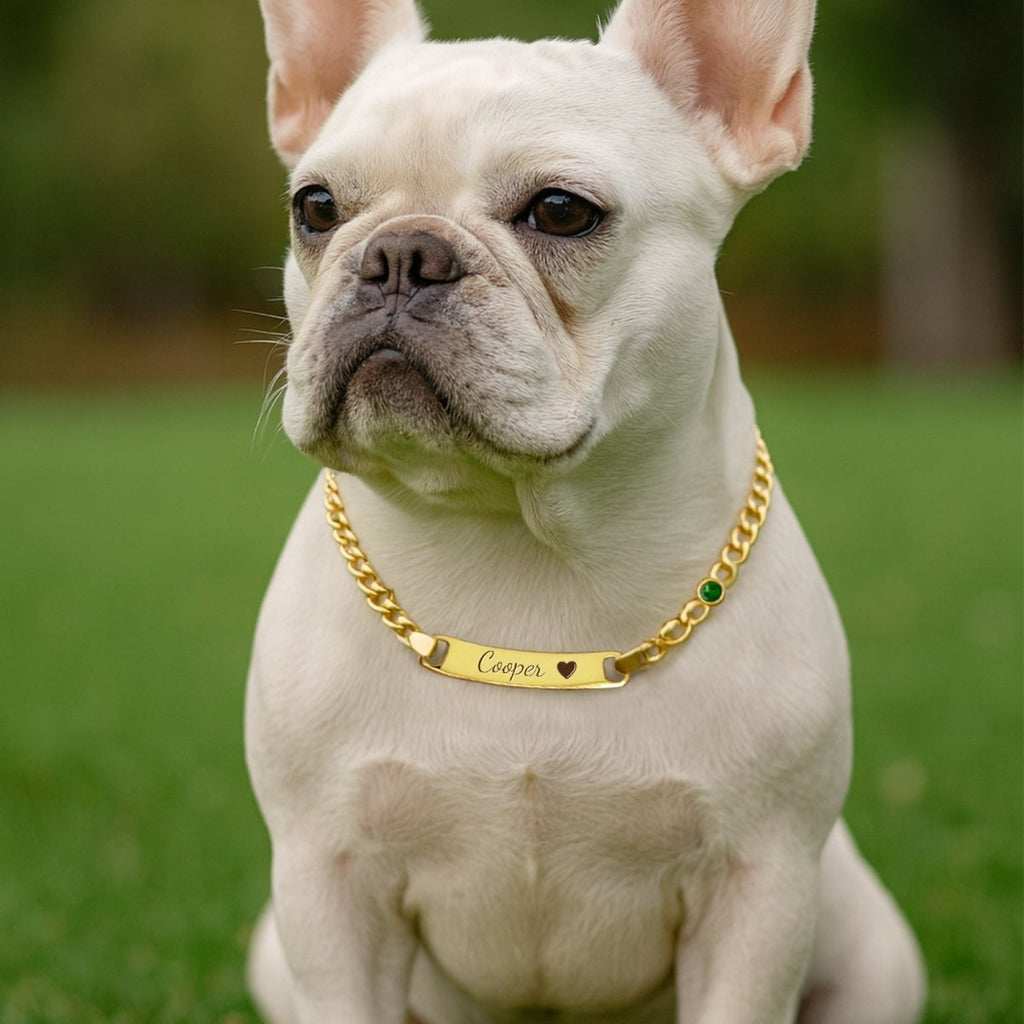 Personalized Pet Name and Birthstone Necklace - Glaxias