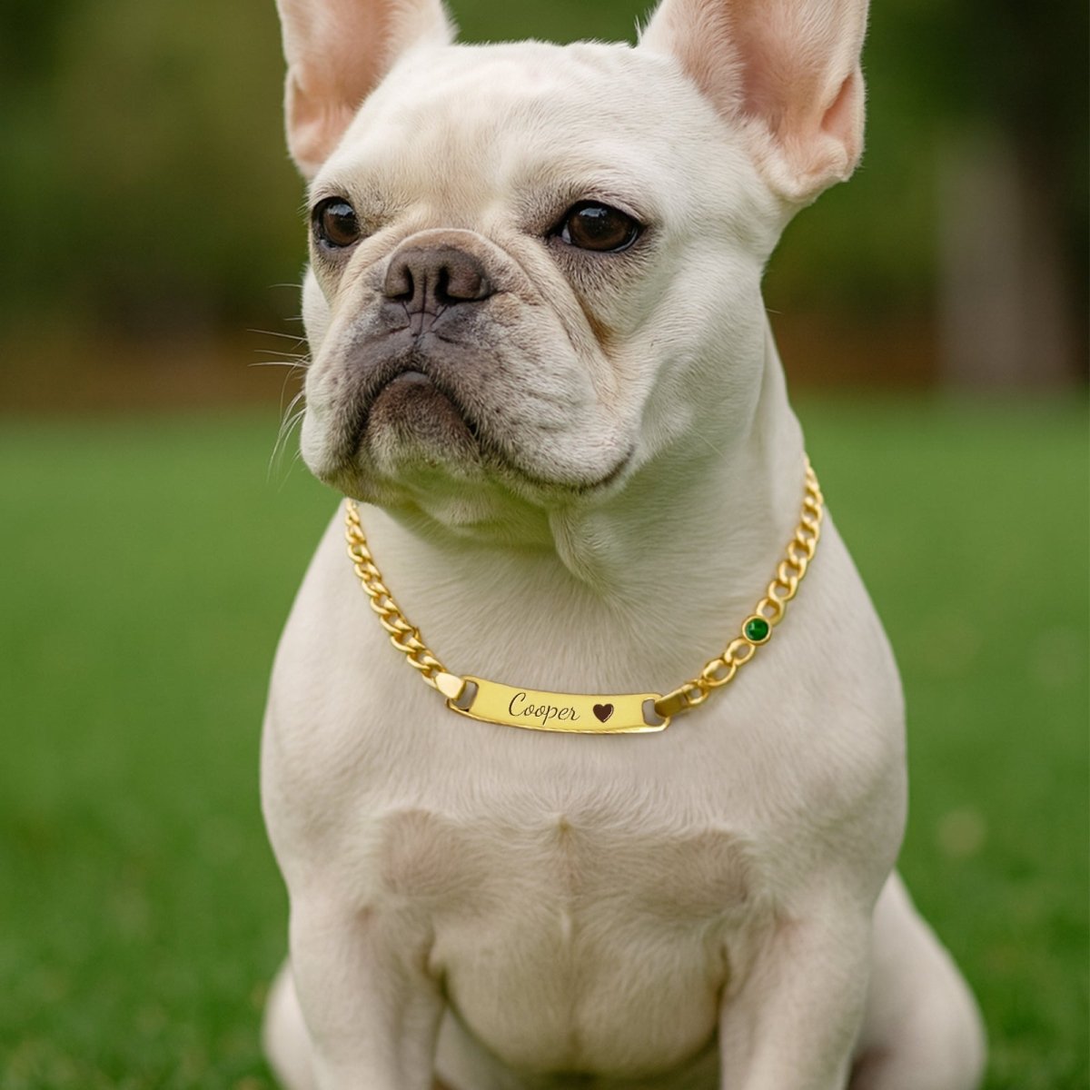 Personalized Pet Name and Birthstone Necklace - Glaxias