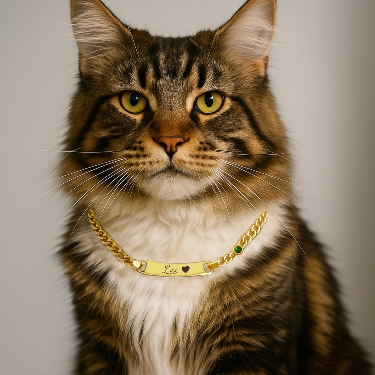 Personalized Pet Name and Birthstone Necklace - Glaxias