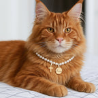 Personalized Pet Name Cross and Pearl Necklace - Glaxias