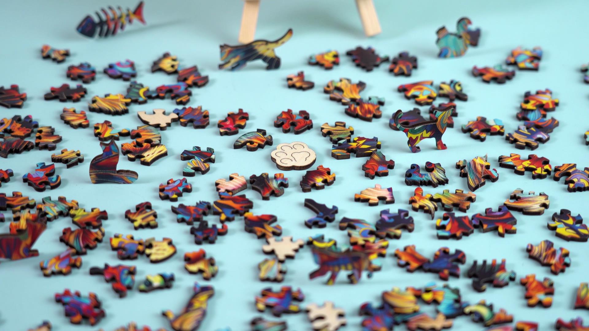 Il fascino enigmatico dei puzzle: pezzo per pezzo, mente per mente 66d667425c041