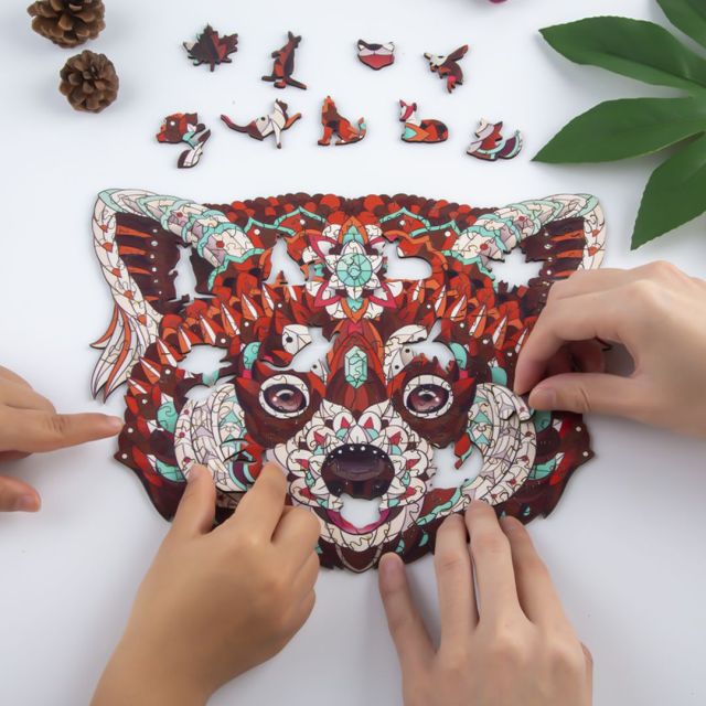 Divertimento scatenato con i puzzle di Raccoon 66e4d99ab3b04