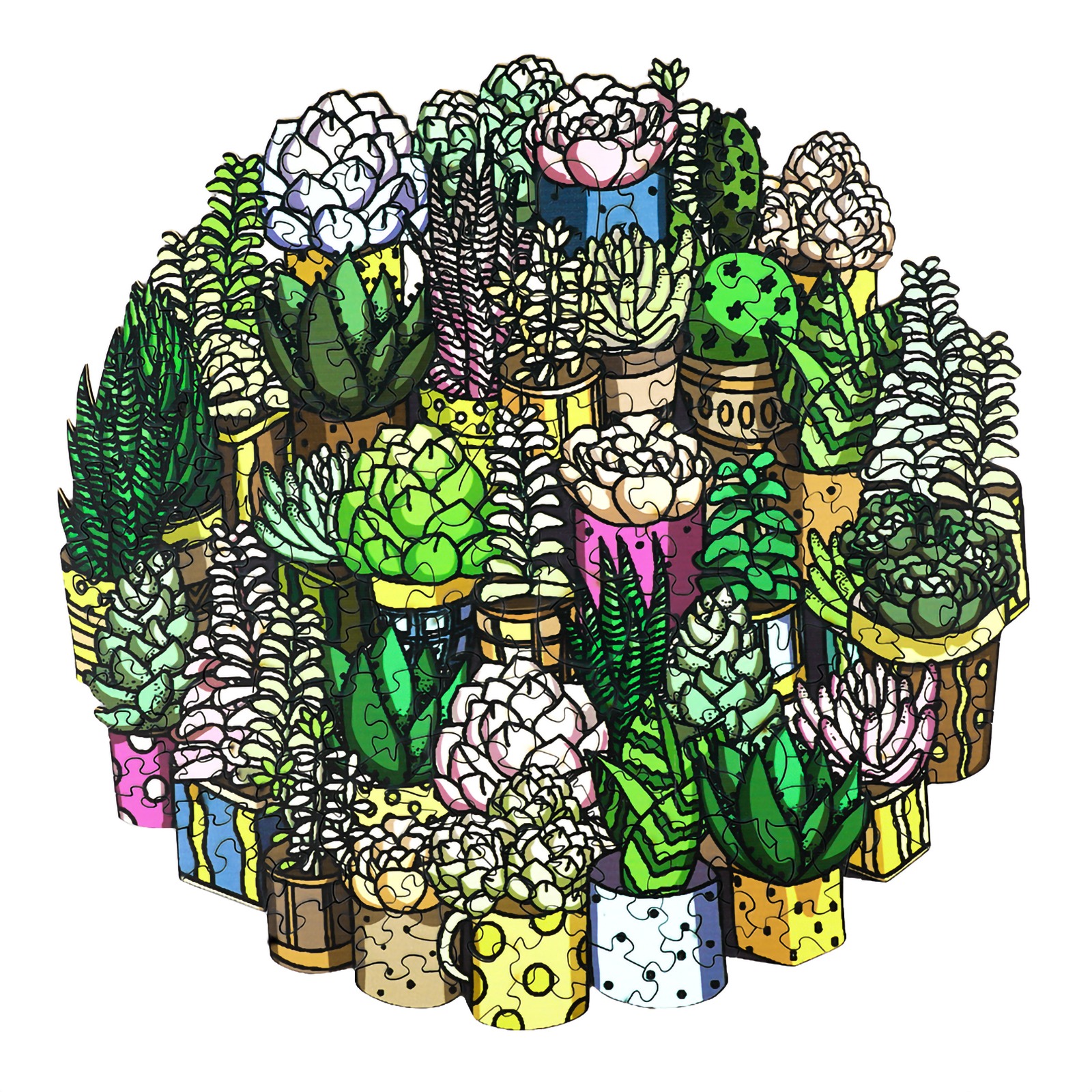 Puzzle di legno – Pianta succulenta 66e9b1a45266f
